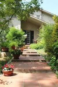 La Casa nel Bosco - Case del Bevano