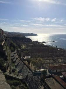 B&B Collemare