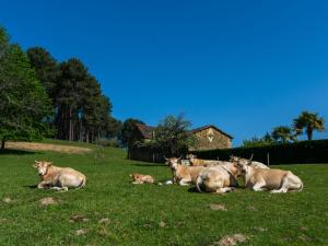 Maisons de vacances Beautiful holiday home in Loubejac with nature views : photos des chambres