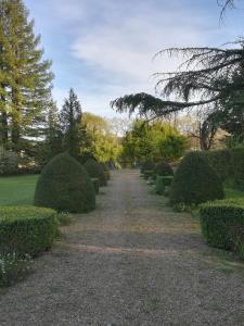B&B / Chambres d'hotes Maison Angulus Ridet : photos des chambres
