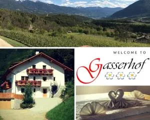 Gasserhof Aicha - 福尔泰扎