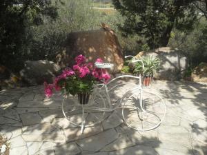 Villa DESIDERIA B&B img28