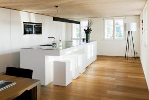 Mesmerhaus