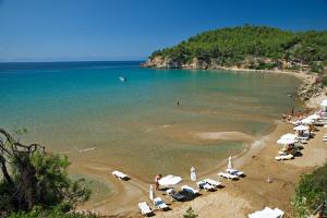 Alonissos Beach Bungalows And Suites Hotel