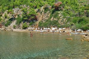 Alonissos Beach Bungalows And Suites Hotel Alonissos Greece