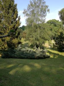 Maisons d'hotes le jardin d Eau : photos des chambres