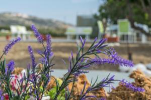 countryside house Milos Greece