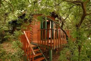 依瑞兹夏格利 - 加利利土地乡村民宿 - Kadarim