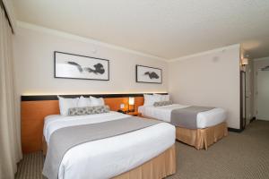 Double Room with Two Double Beds room in Miyako Hotel Los Angeles