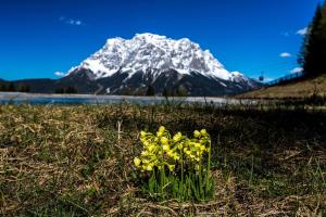 Appartement Ambrosius