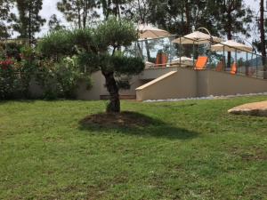 Appartements A Turruccia : photos des chambres