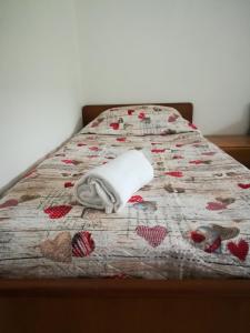 Double or Twin Room with Shared Bathroom