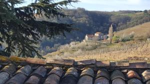 Maisons de vacances les vignes Ardechoises - Peuplier : photos des chambres