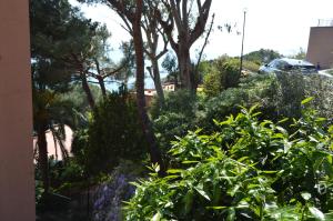 Casa delle mimose