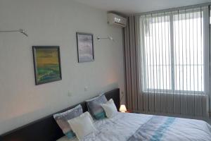 Silver Beach Delux Apartment