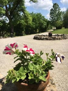 Lodges Coutillard : photos des chambres