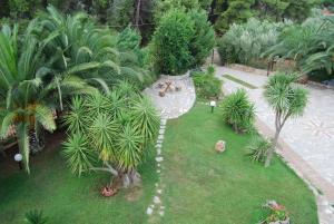 Ta Pefka apartments, Sithonia - Halkidiki Halkidiki Greece