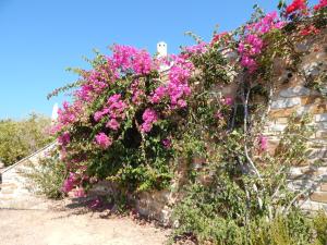 Villa with extraordinary view near the sea Syros Greece