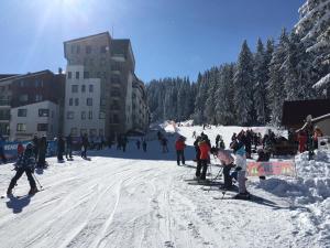 obrázek - Stenata Huge Ski To Door Apartment