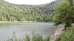 Maisons de vacances La bressaude - vacances-en-vosges : photos des chambres