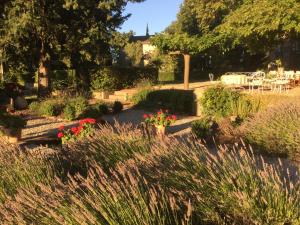 Appartements Lourmarin,Domaine de Casteuse Appartement LES OLIVIERS : photos des chambres