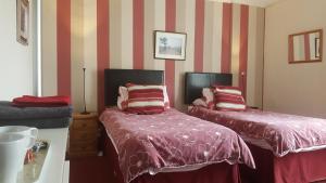 Twin Room room in Angel Guesthouse