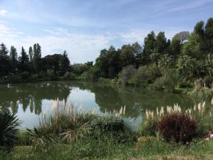 Appartements French Riviera - Vaugrenier : photos des chambres