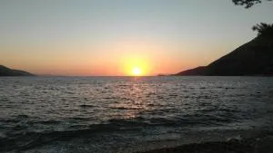 Blue apartment - Viganj