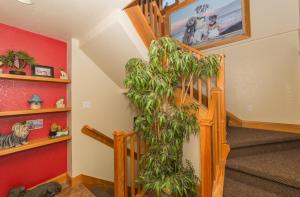 Happy Dog Days - 4hvězdičkové hotely ve městě Nags Head