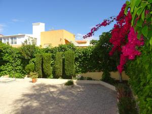 Casa Mira La Vega La Marina