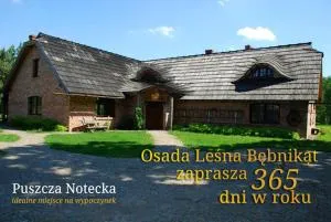 Bębnikąt Osada Leśna Puszcza Notecka - Kiszewko