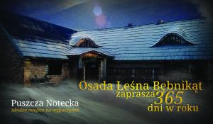 Bębnikąt Osada Leśna Puszcza Notecka