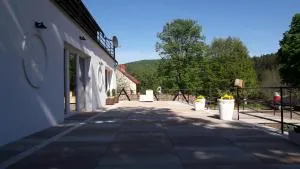 Leonówka Bieszczady - Cisna