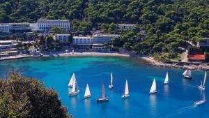 Hotel Vis 