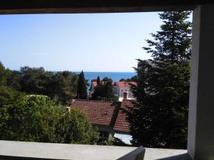 DD apartmani 