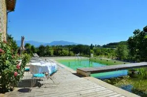 La Voureyline - Chatte