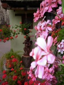 Maisons d'hotes Gites Petermann : photos des chambres