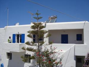 Marina Studios hotel, 
Mykonos, Greece.
The photo picture quality can be
variable. We apologize if the
quality is of an unacceptable
level.