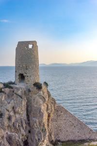 I Limoni del Sud Sardegna img31