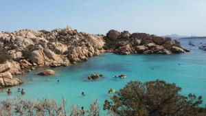 I Limoni del Sud Sardegna img39