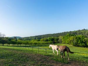 Maisons de vacances Peaceful holiday home with pool : photos des chambres