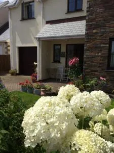 Home from Home B&B - Hartland