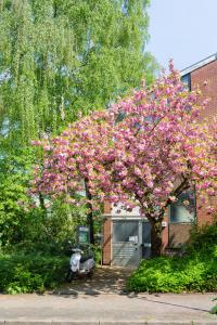 Apartement A&A Apartment Am Langen Weiher D&uuml;sseldorf Saksamaa