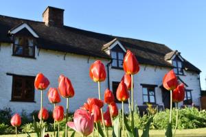 4 stern pension Glencoed B&B Wrexham Grossbritannien