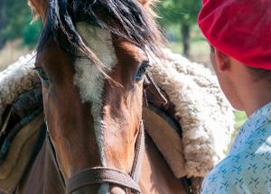 Chacras de Azcona Hostería