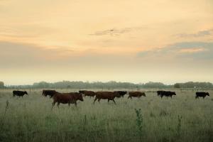 Chacras de Azcona Hostería