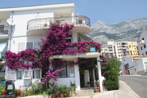 Apartments Milena & Ante 