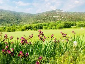 Hotels Domaine du Mas Pigne : photos des chambres