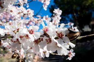 Espuna Walks Casa Los Arcos