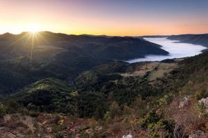 Hotels Le Vallon : photos des chambres